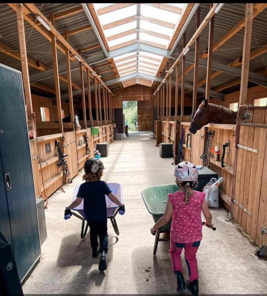Ferienwohnung Beim Pferdehof Нойенштайн Экстерьер фото